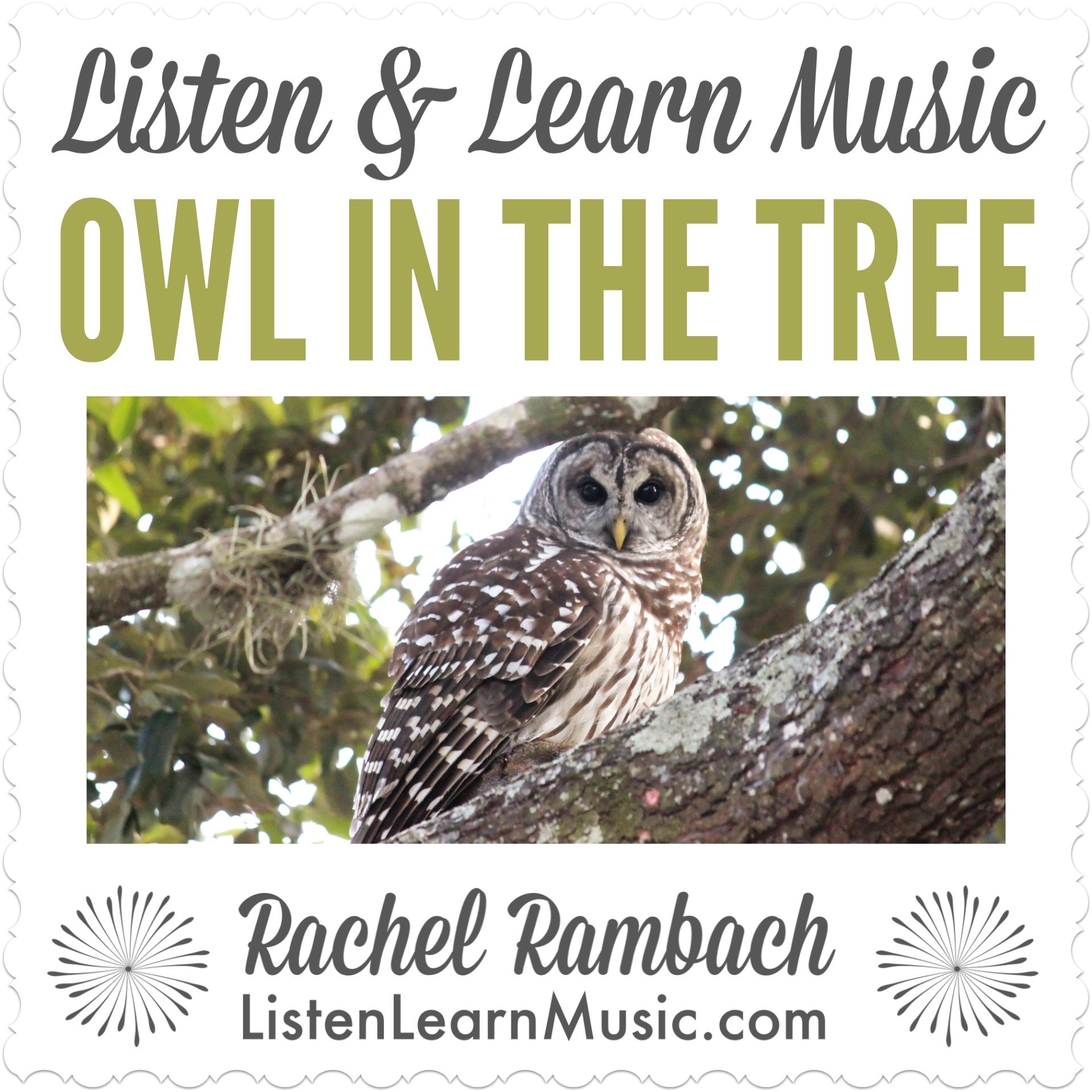 Owl in the Tree | Listen & Learn Music